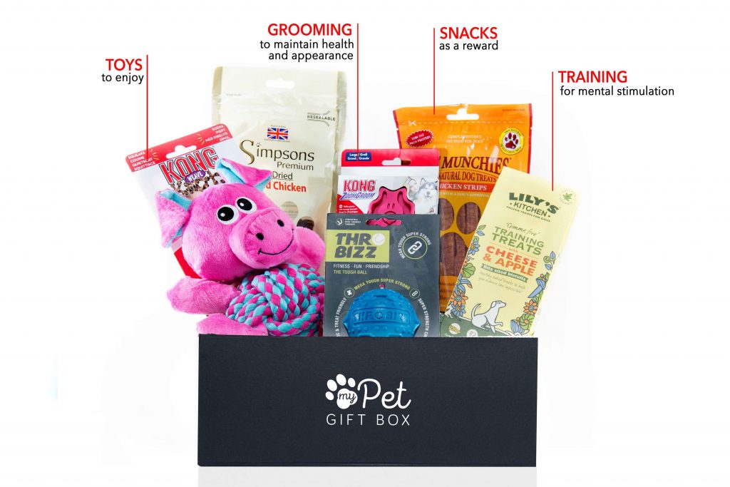 dog gift box subscription