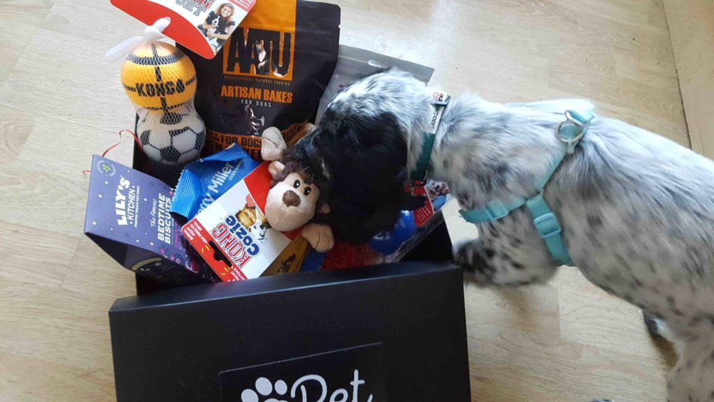 dog gift box