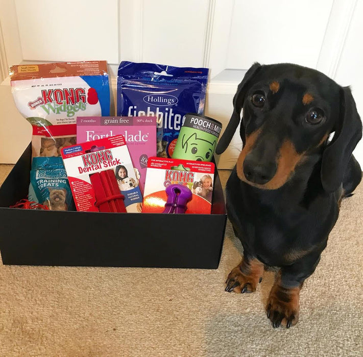 monthly subscription boxes for dogs