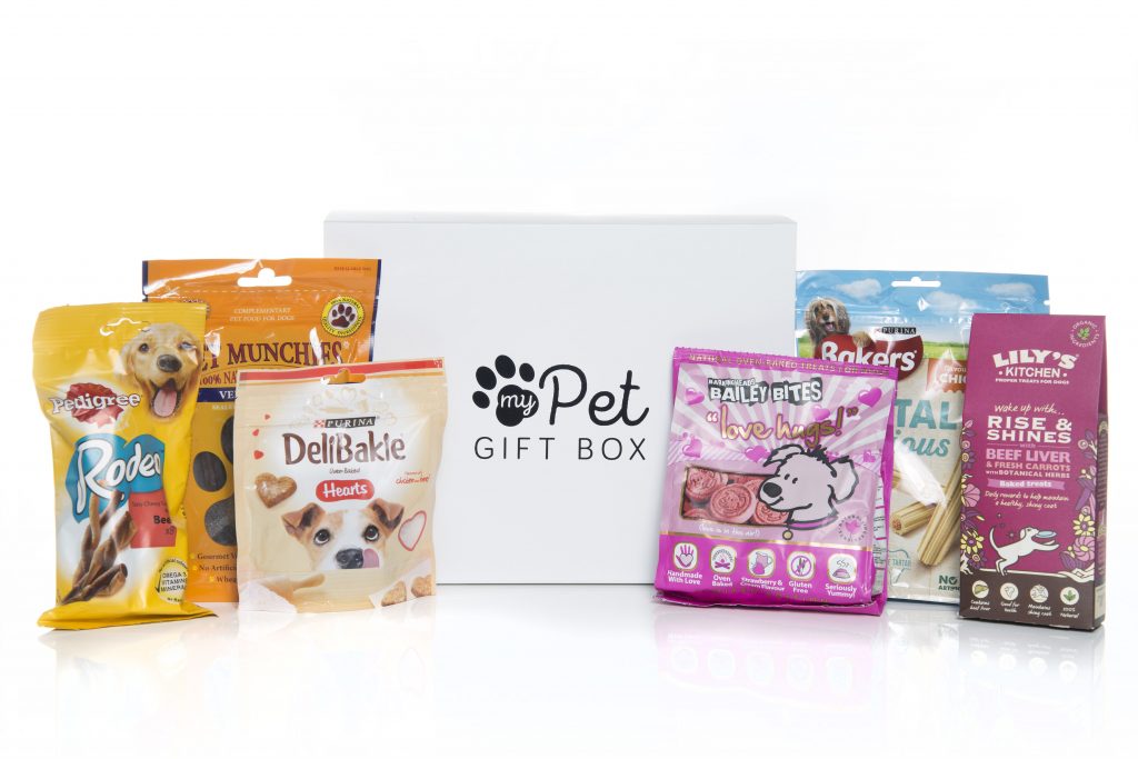 dog treat gift box