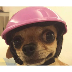 pink dog helmet