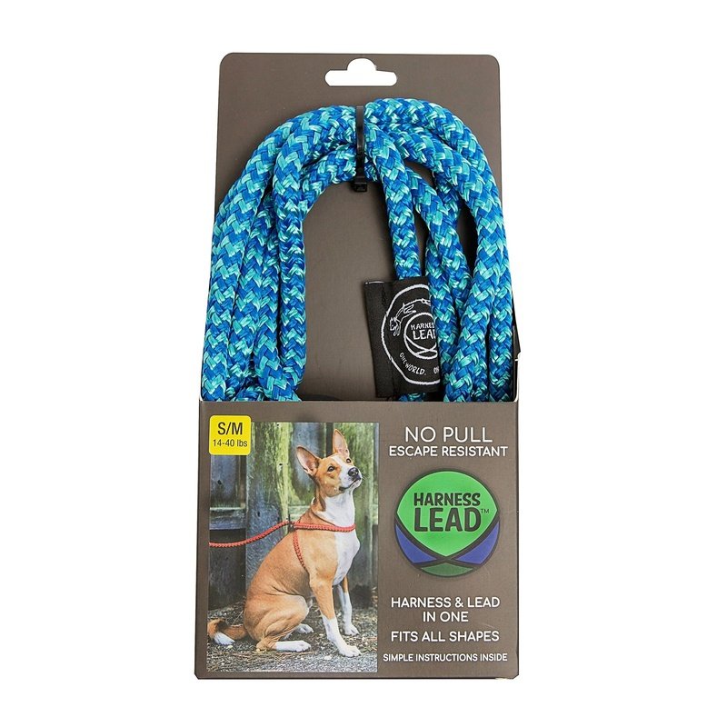 leash and harness in one