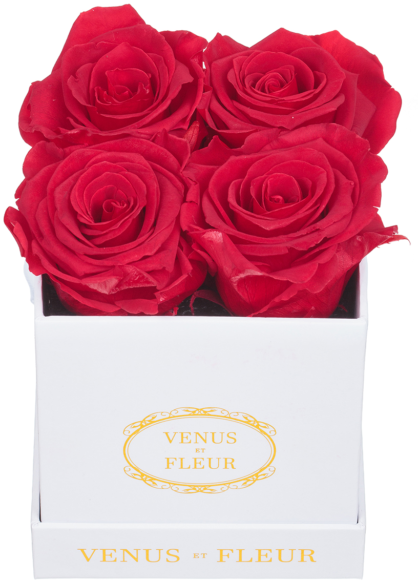 High Quality Roses Show Your Love With The Le Petite