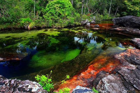 River of Five Colours