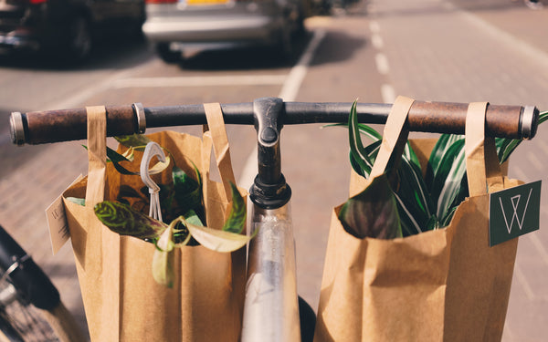 Reusable Bags - Sustainable New Year's