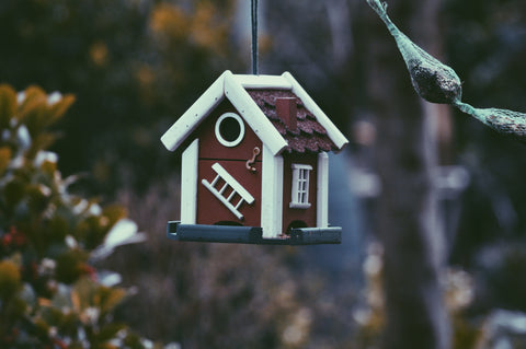 backyard bird house 