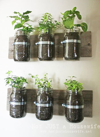 rustic wonderland diy ideas - mason jar wall planter