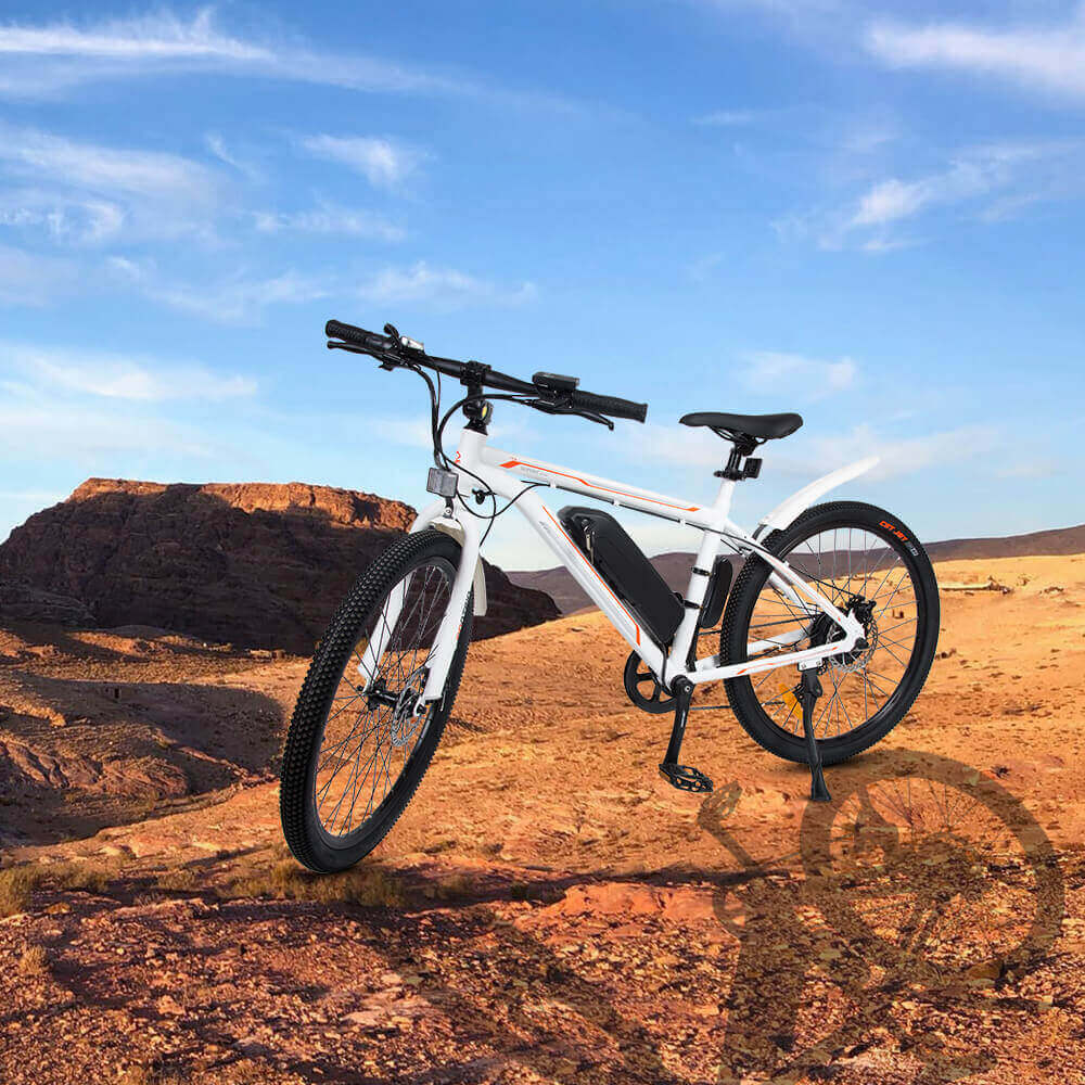 ecotric electric city bike