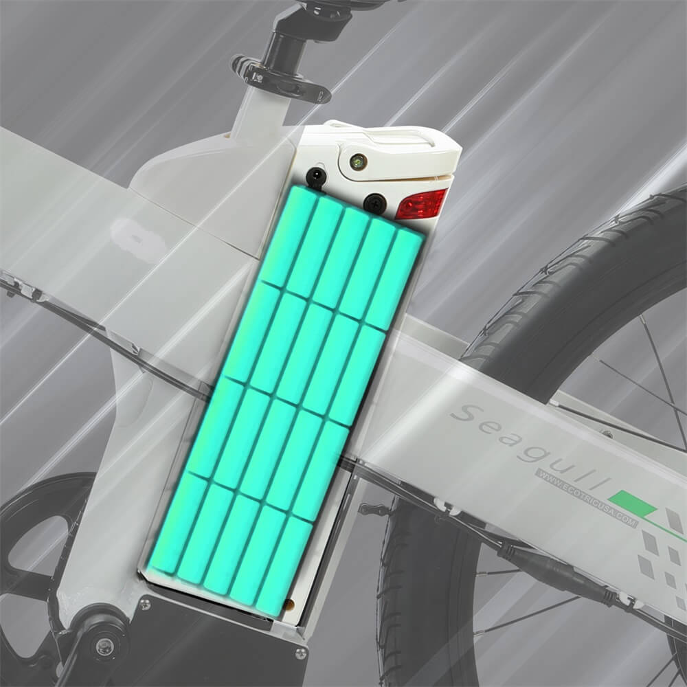 Ecotric Seagull Electric Bike