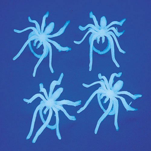 spider rings halloween