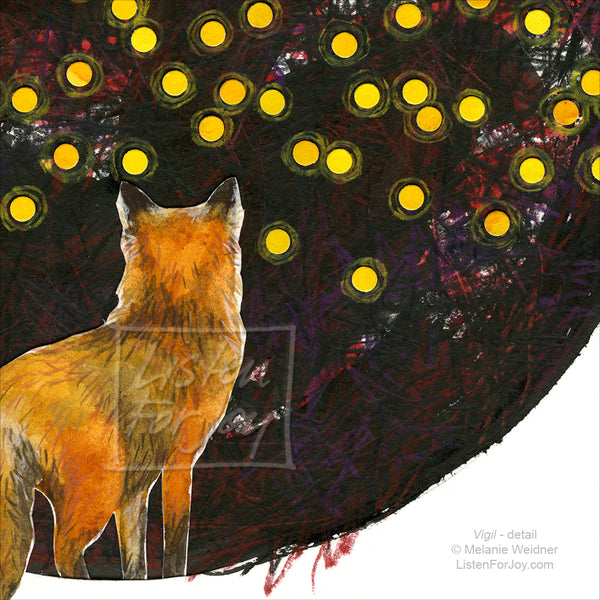 Fox looks at points of light in the dark