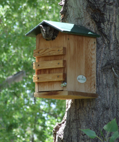 Owl box