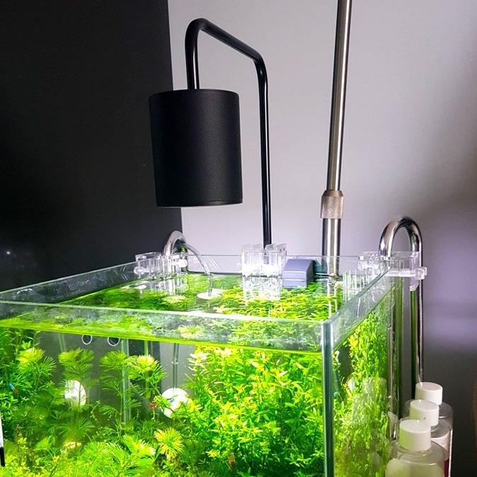 Aquarium LED 6500K Nano Aquarium Fish Tank Light – Castle Dawn Aquatics