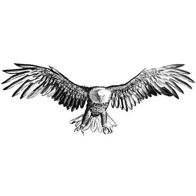 Albanian Eagle Tatuazhe e përkohëshme  Temporary tattoo  Albanian Webshop