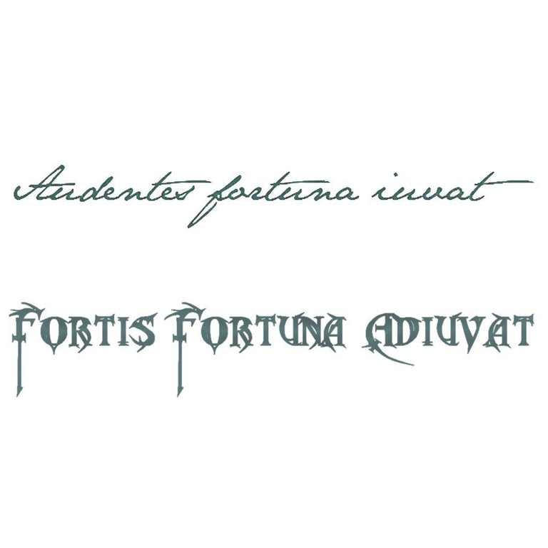 Fortis Fortuna Adiuvat  Be brave tattoo Fortune favors the bold Fortune  favours