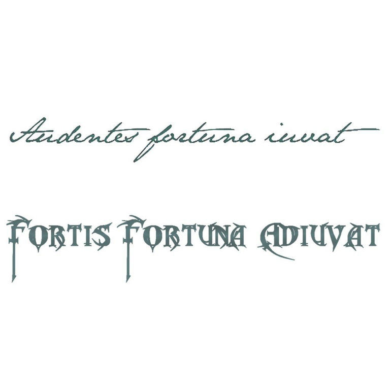 Fortune Favours the strongBrave  Script Tattoo HappyInkTatto   TikTok