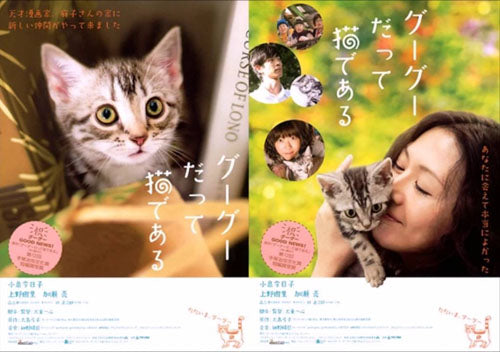 gu-gu-the-cat-dvd-english-subtitled-special-edition