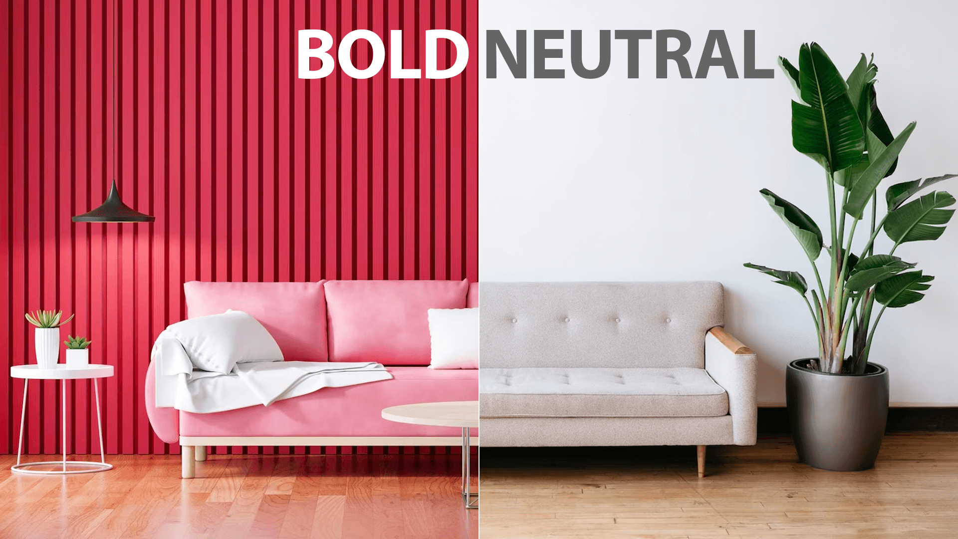 balance bold and neutral 