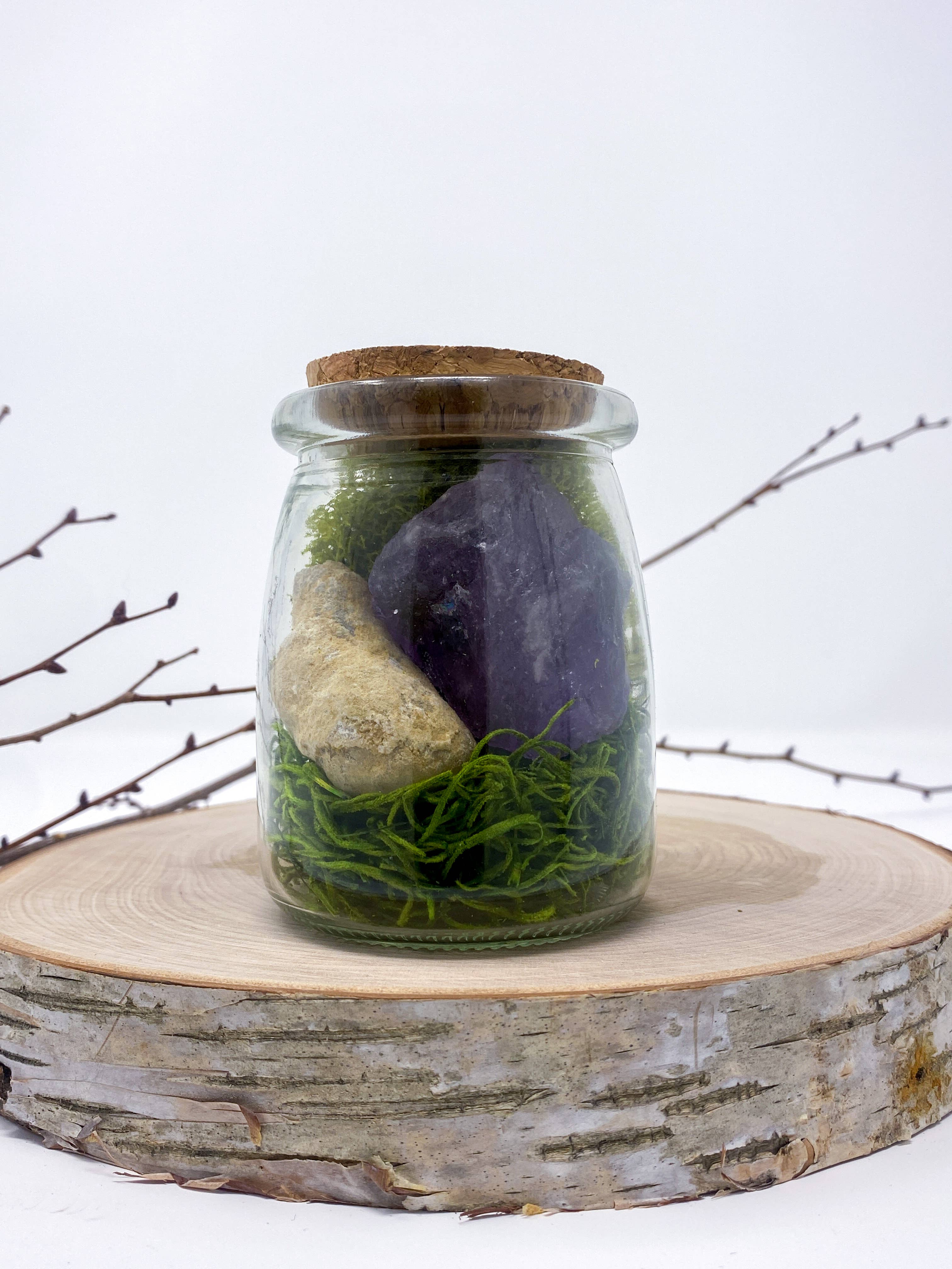 CRACK YOUR OWN GEODE AMETHYST & GEODE CRYSTAL TERRARIUM