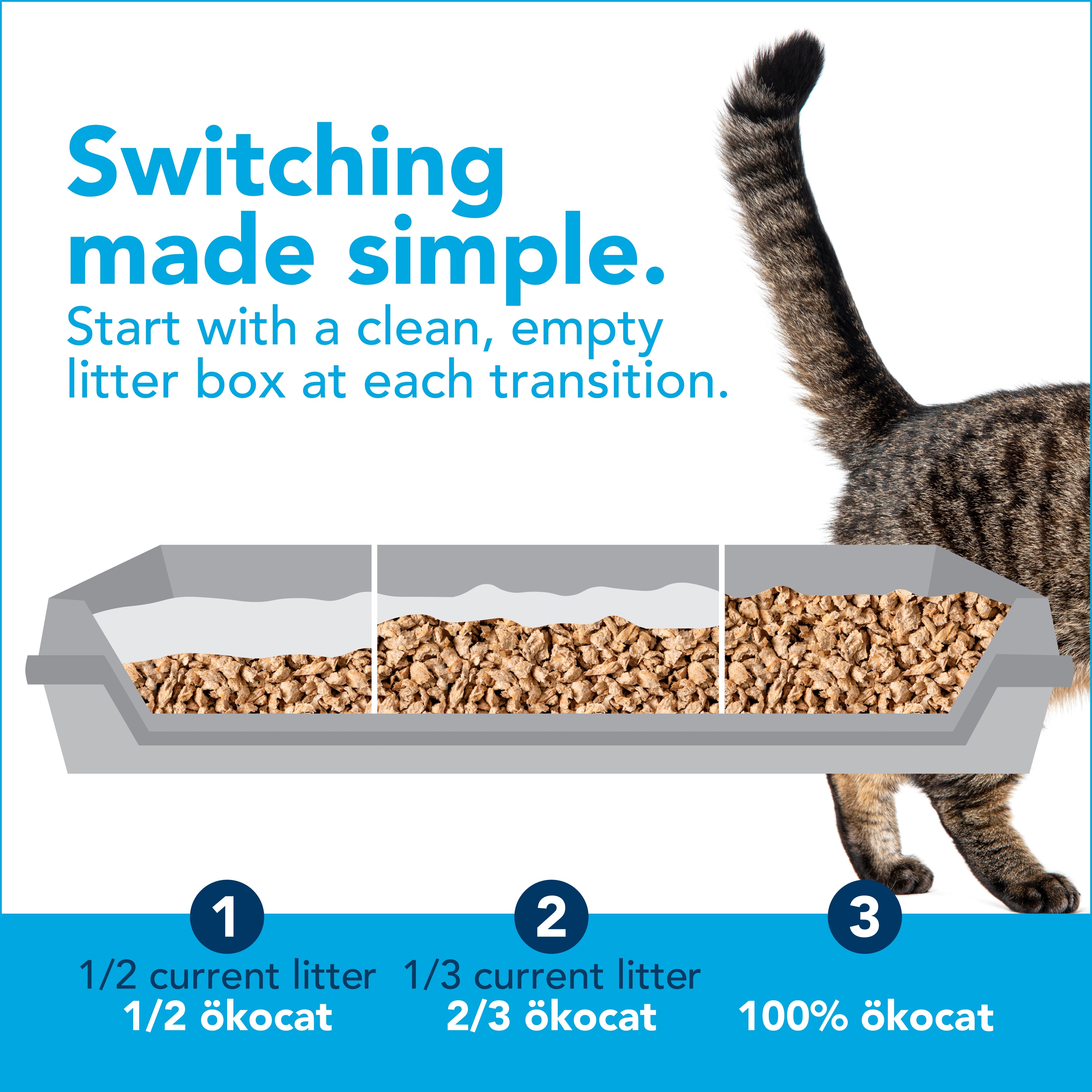 Do Cat Litter Mats Work? Yes! – Americat Company