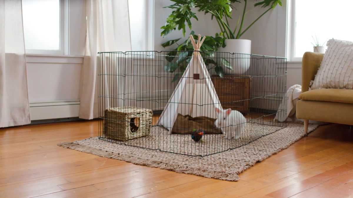 rabbit playpen