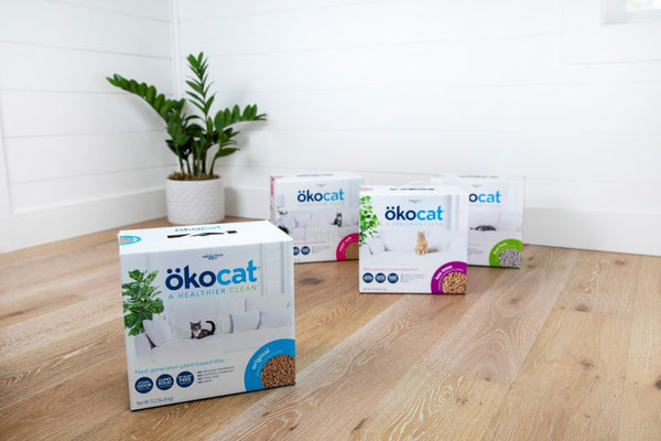 okocat natural cat litter