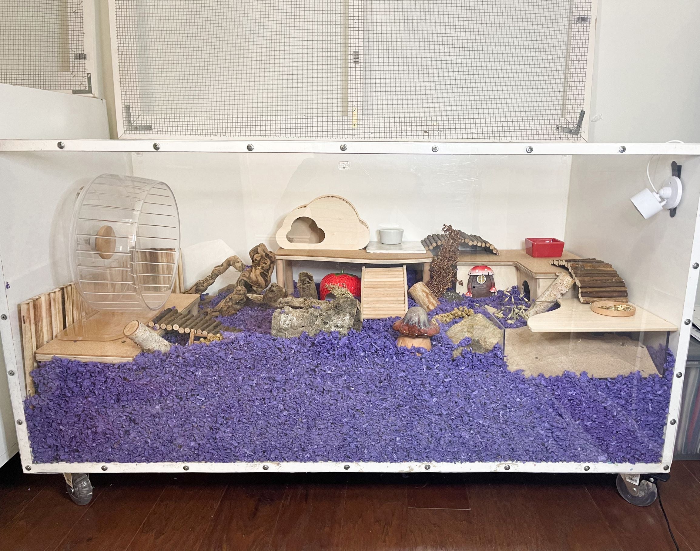 carefresh purple bedding large hamster habitat