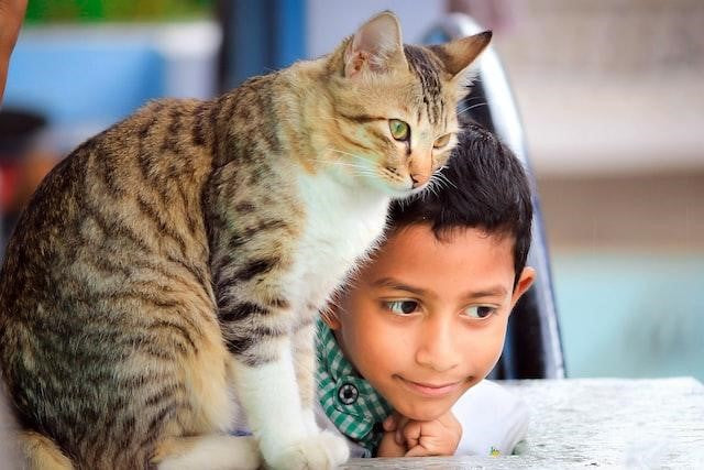 kid with cat