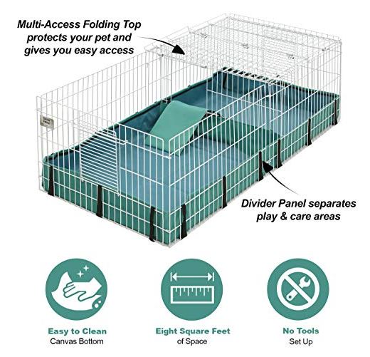 midwest guinea pig cage habitat