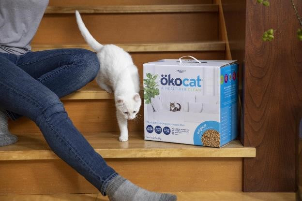 okocat original premium clumping litter with white cat