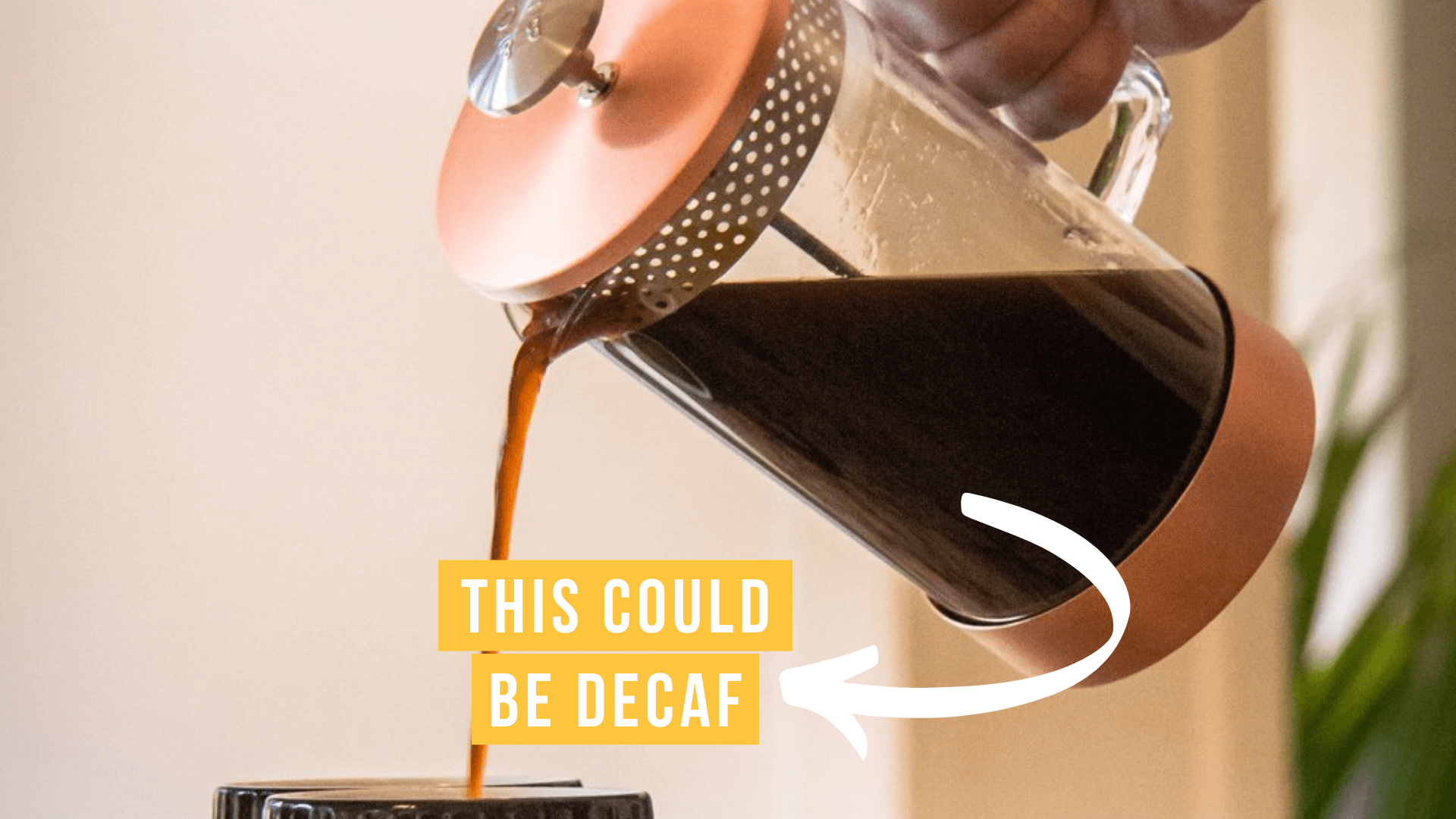 decaf that tastes like regular coffee