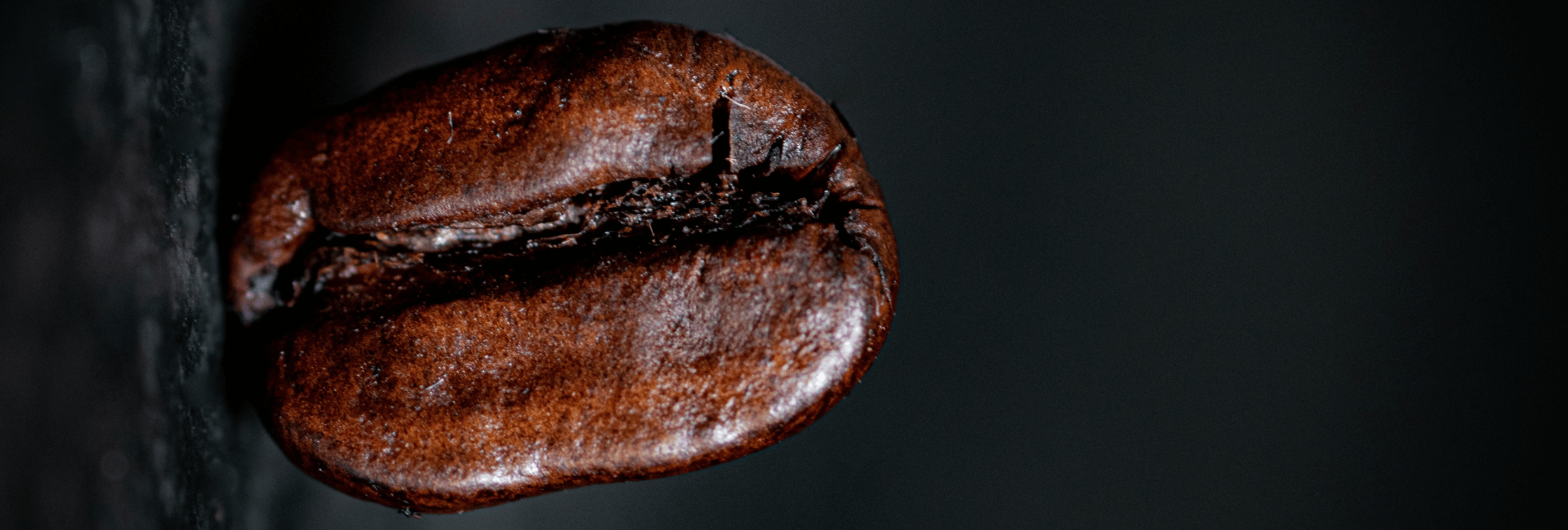 dark roast coffee bean