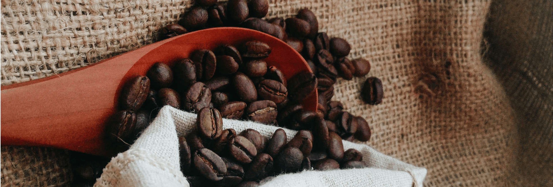 dark roast coffee beans are more bitter