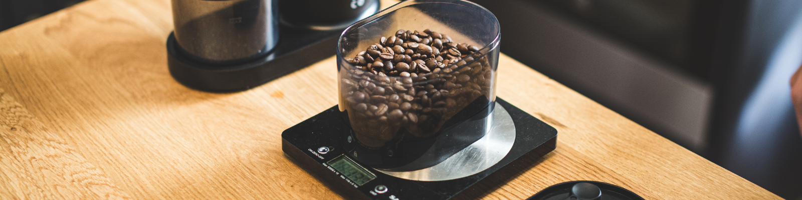 coffee beans in a grinder hopper