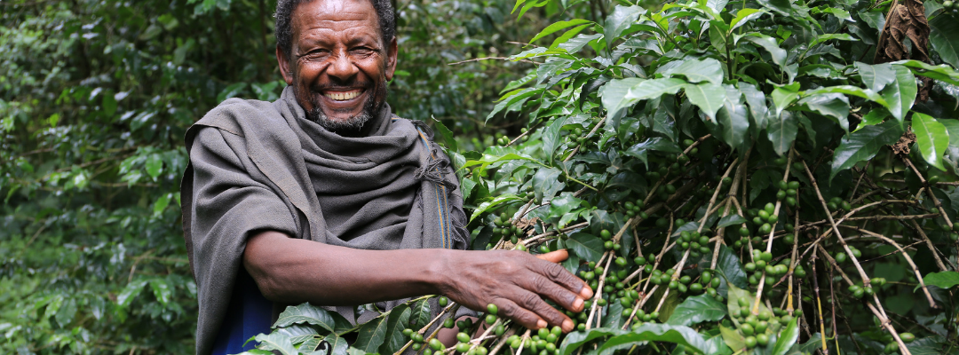 Coffee farmer