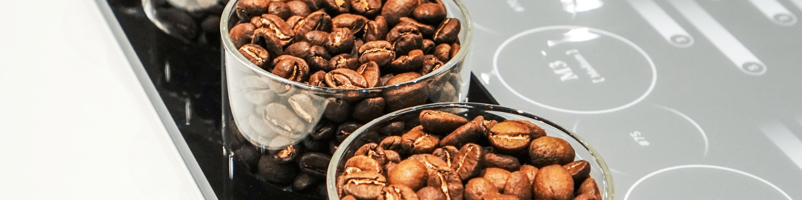 coffee beans in a group head for espresso