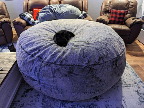 Bean Bag Chairs