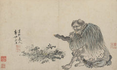 shennong herbalist