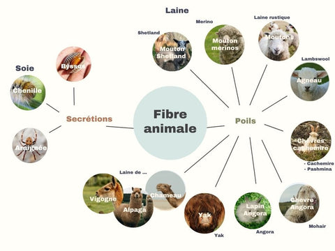 Les fibres textiles naturelles, animales