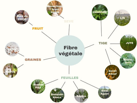 Les différentes sortes de fibres textiles végétales youmiwi