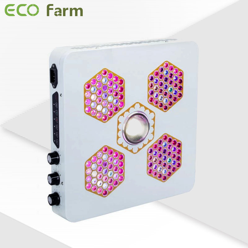 Eco Farm 800W/1200W CREE COB LED Grow Light