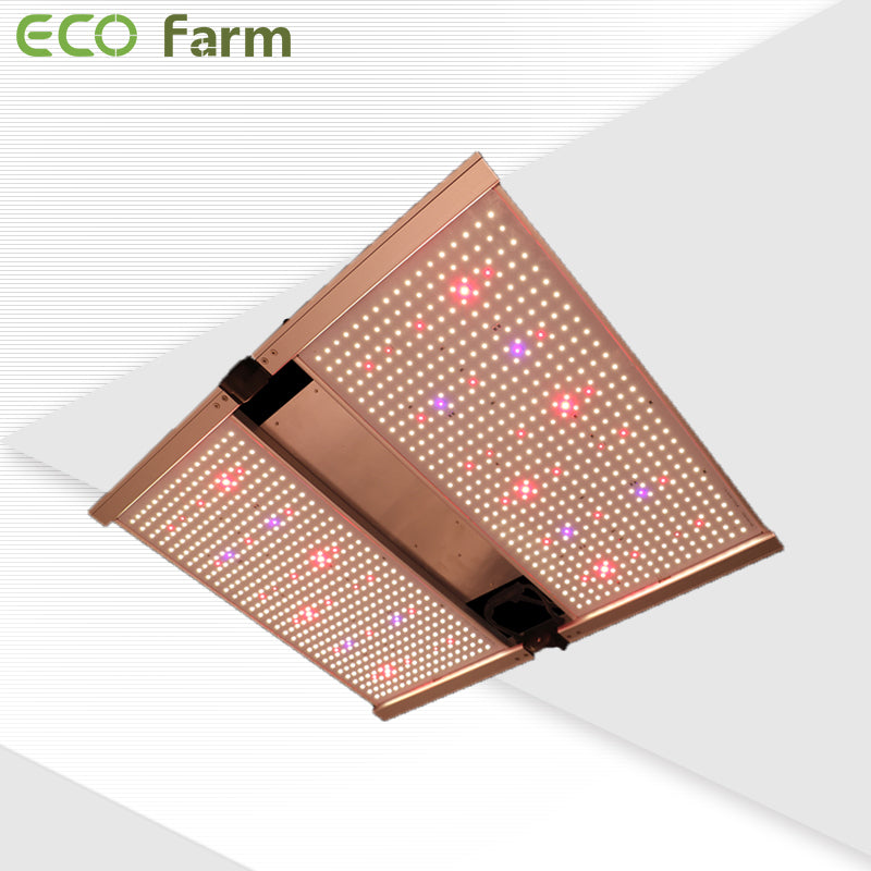 ECO Farm 240W/320W/480W/650W Foldable Quantum Board Pro