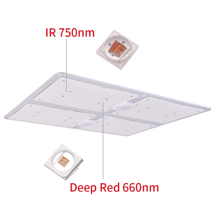 ECO FARM WATERPROOF LM301B 110W/220W/450W/600W QUANTUM BOARD Free-assemble-Grow-light-led-Lamp-Indoor_2048x