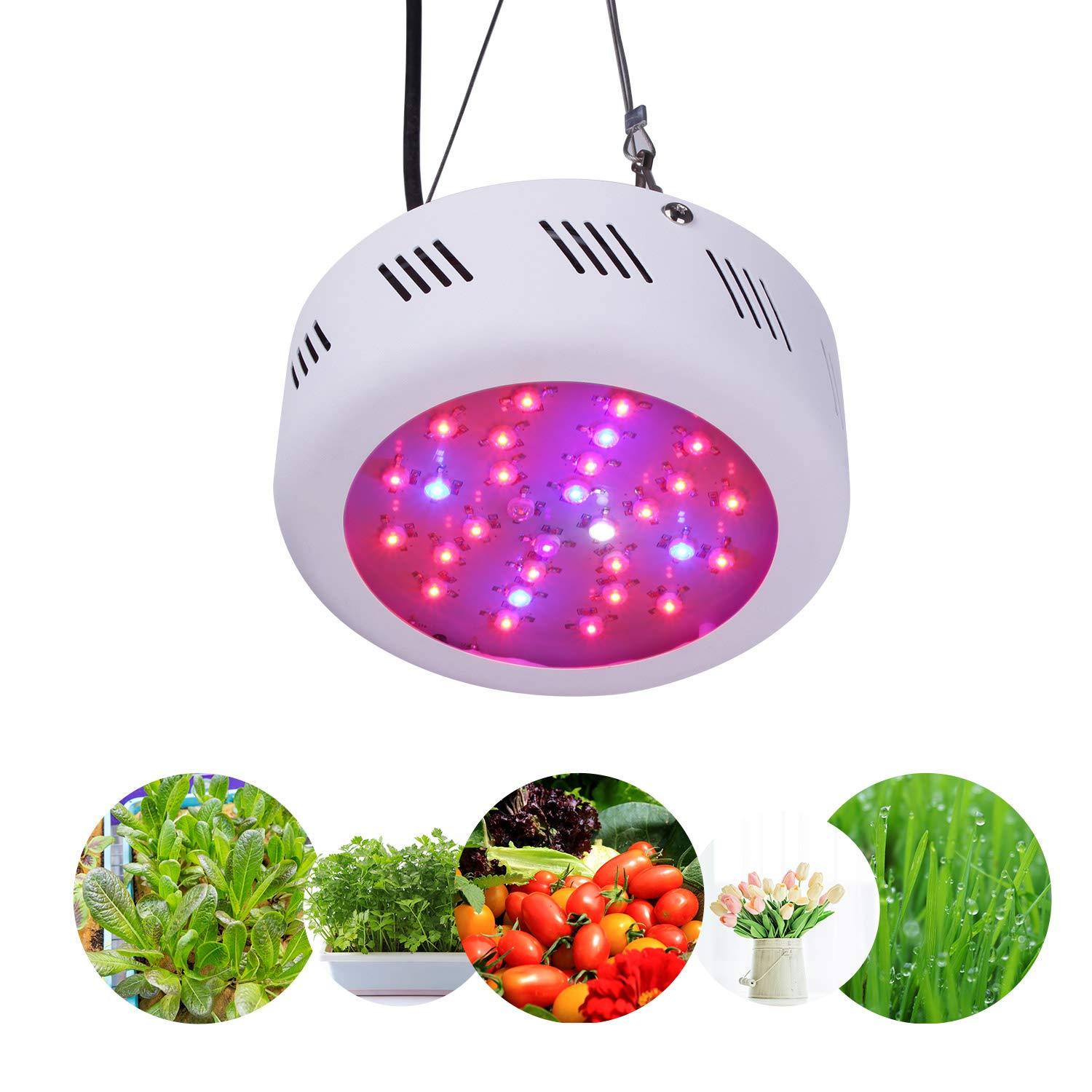 Roleadro Grow Red Spectrum UFO Lamp for Plants - GrowPackage.com