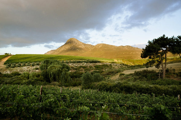 Hemel-en-Aarde crystallum