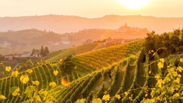 Tre Donne Piemonte vinmarker