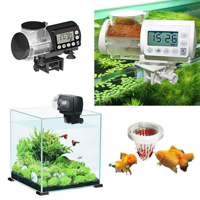 Dww-mangeoire Automatique Pour Poissons 100/210 Ml (jaune), Distributeur De  Nourriture Pour Poissons Minuterie Automatique D'aquarium Avec Deux Botes