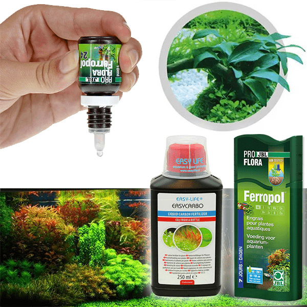 Engrais pour plante d'aquarium Ferropol 24 : Soins des plantes