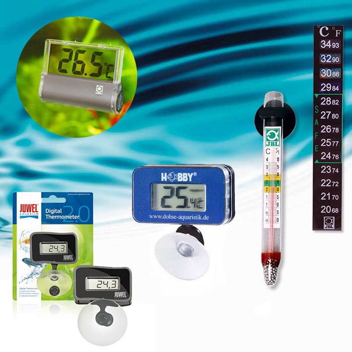 DUPLA Thermomètre de précision sans mercure - Accessoires aquarium