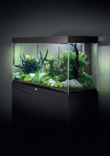 aquarium-splendid-120-aquatlantis-noir-ambiance